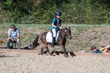 Bild 77 - Pony Akademie Turnier